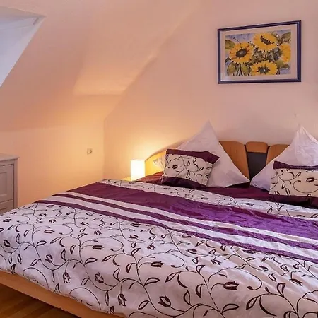Vulkaneifel Tatil Evi *